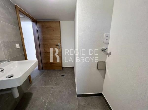 Appartement rénové de 4.5 pièces à Démoret 10
