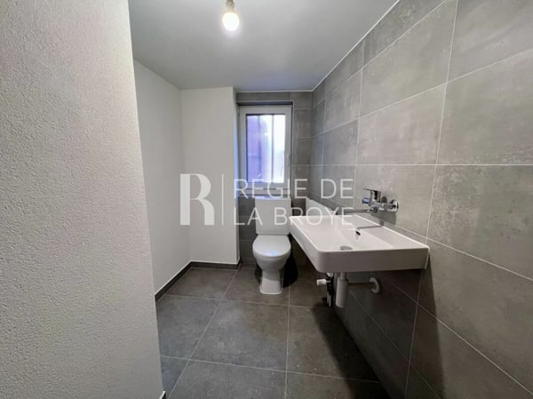 Appartement rénové de 4.5 pièces à Démoret 9