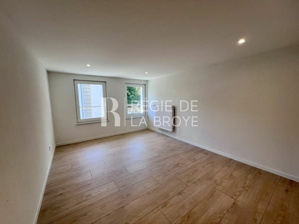 Appartement rénové de 4.5 pièces à Démoret 3