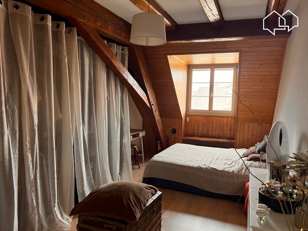 Spacieux appartement dans les combles avec terrasse 5