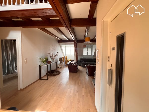 Spacieux appartement dans les combles avec terrasse 10