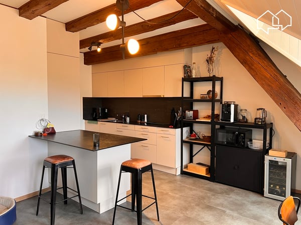 Spacieux appartement dans les combles avec terrasse 3