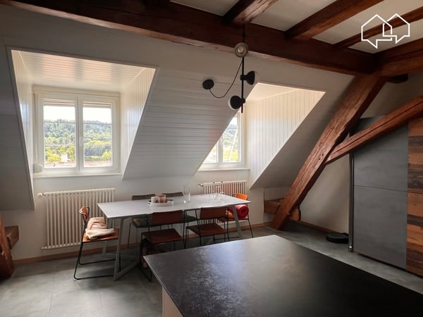 Spacieux appartement dans les combles avec terrasse 4