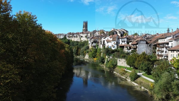 Magnifiques 6.5 pcs proche Sarine en basse ville de Fribourg 11