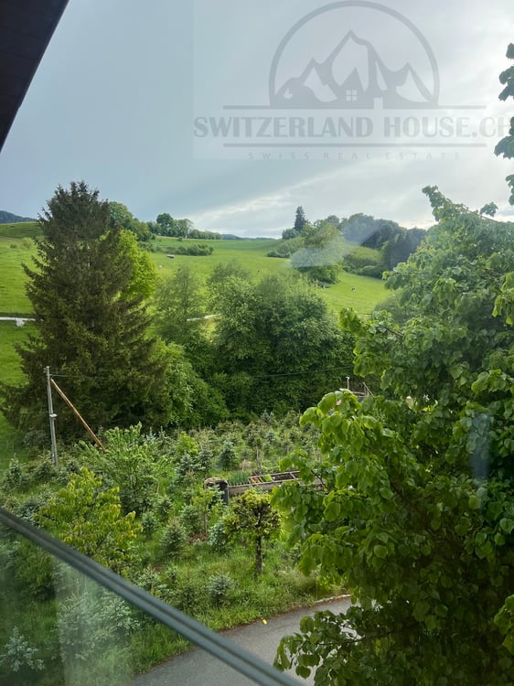 Studio à louer proche commodité et nature à Posat 5