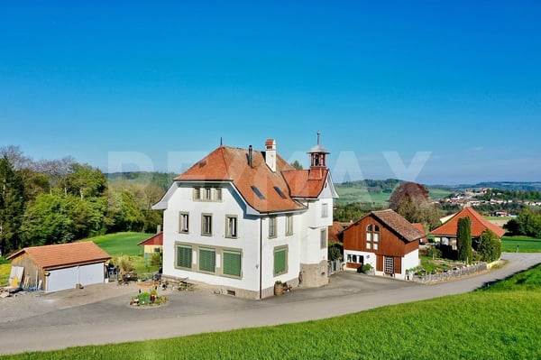 Trois appartements pour vivre, réunir ou investir 1