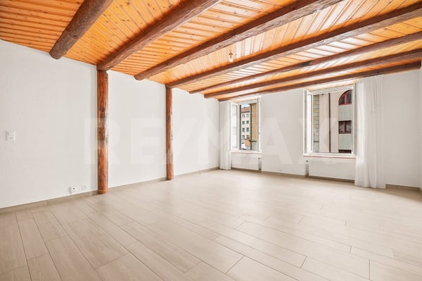 Idéal pour grande famille: maison de ville + local commercial 7