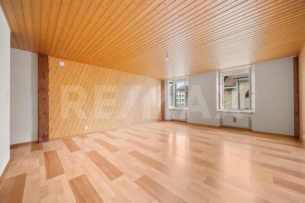 Idéal pour grande famille: maison de ville + local commercial 10