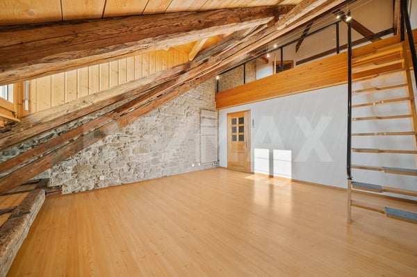 Idéal pour grande famille: maison de ville + local commercial 13