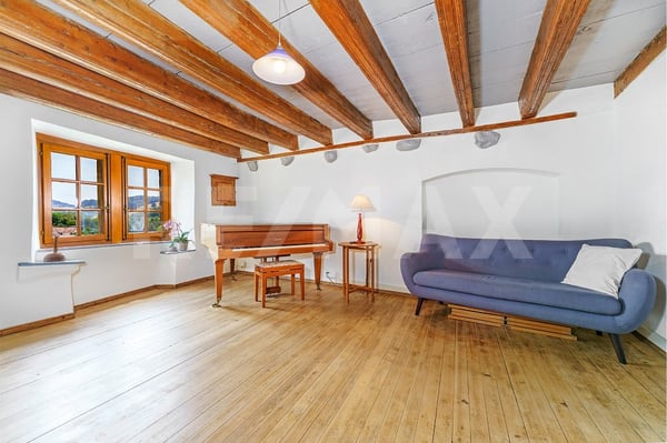 Incroyable maison rénovée avec 267 m2 utile 8