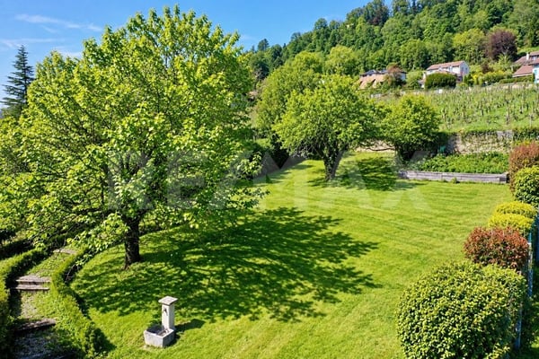 Entre vigne et Lac Léman: maison villageoise de 243 m² utiles 6