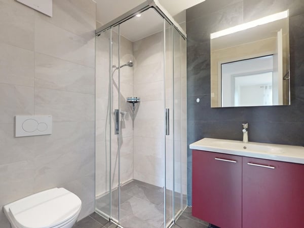 00070 - Appartement de 1.5 pièces en attique - 130 m2 - Chemin des Prés-Verts 23 - La Chaux-de-Fonds 4