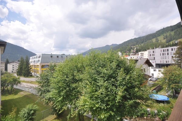 1-ZW SEEHORNBLICK NR. 15 6