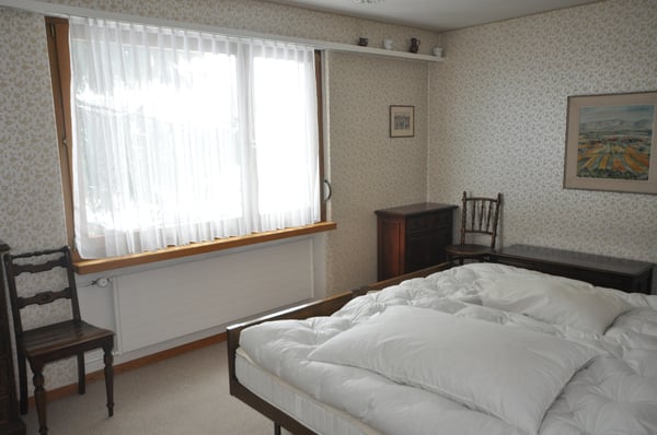 1-ZW SEEHORNBLICK NR. 15 3