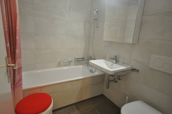 1-ZW SEEHORNBLICK NR. 15 5