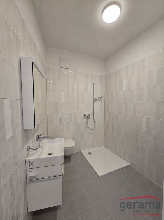 Neue 2.5 Zimmerwohnung in Plaffeien 5