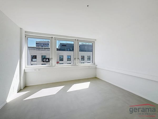 Surface entièrement rénovée de 220 m2 à louer 3