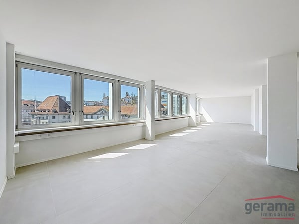 Surface entièrement rénovée de 220 m2 à louer 1