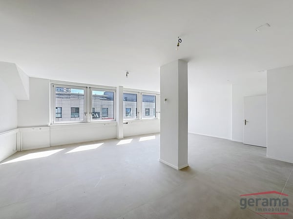 Surface entièrement rénovée de 220 m2 à louer 2