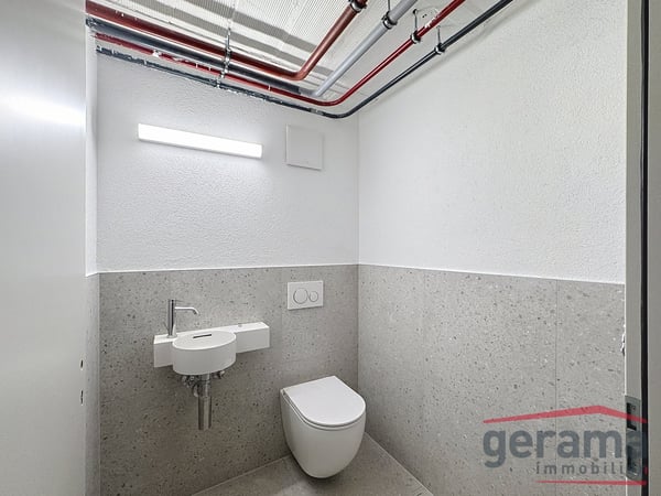 Surface commerciale à Fribourg 4