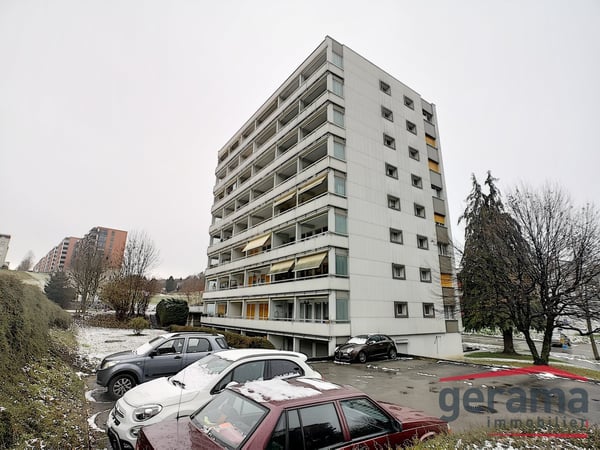 Confortable appartement de 1.5 pièces avec vue 4