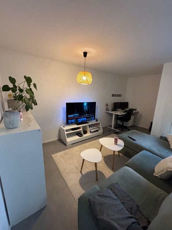 Appartement 1.5 pièces au 4ème étage 2