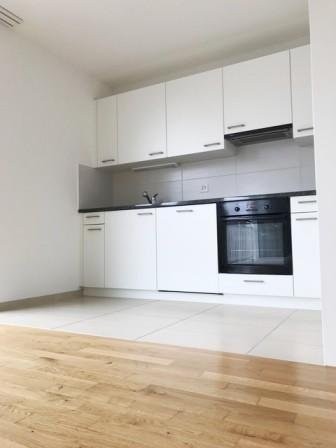 Appartement moderne 1.5 pièces à Perolles 3