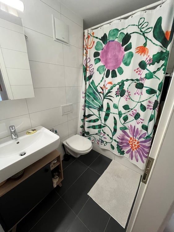 Bel appartement de 1.5 pièces au 4ème étage 5