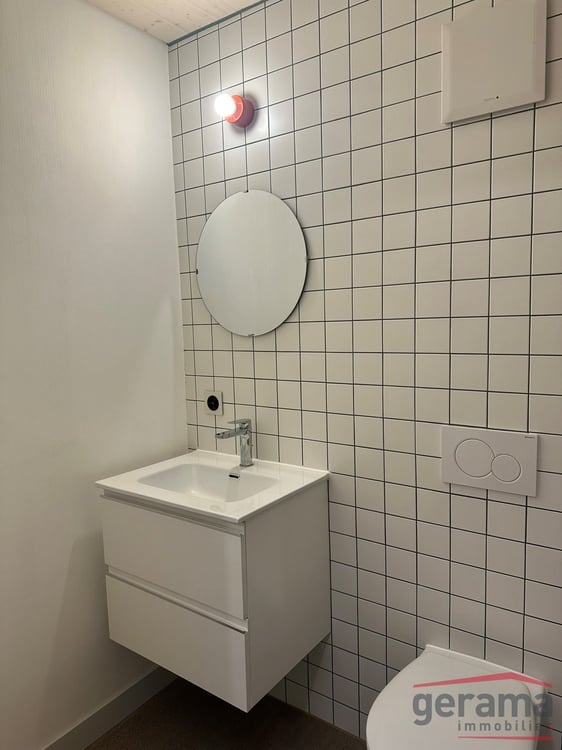 Charmante villa duplex de 3.5 pièces à louer 4
