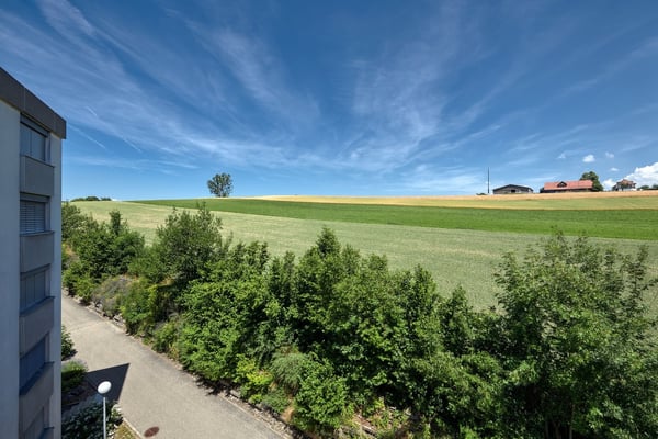 Spacieux 4.5 pièces sur les hauts de Fribourg 11
