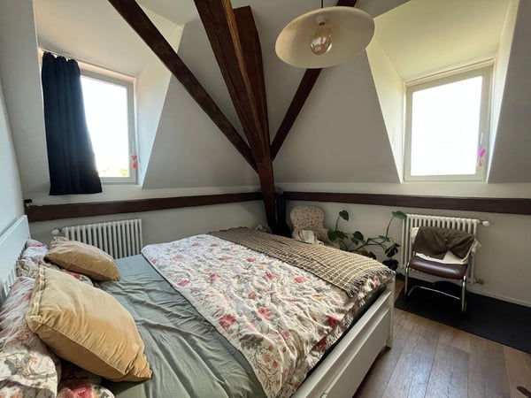 Magnifique appartement 2.5 pièces dans les combles 3