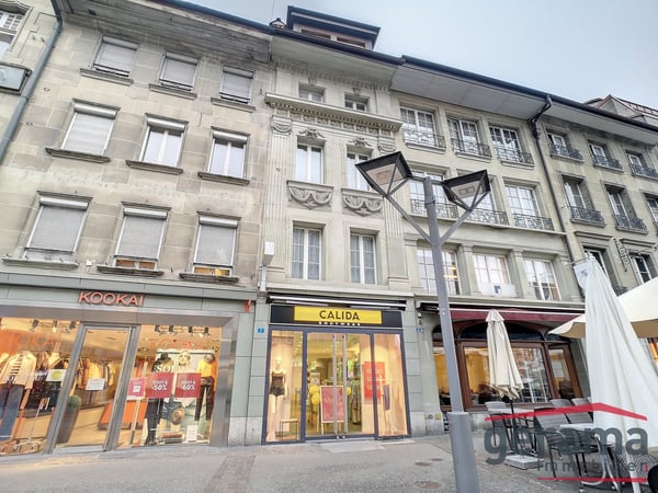 Splendide 2.5 pces en duplex au coeur de la ville 4