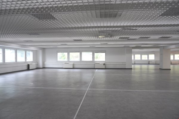 Manno - Büro-Labor zu vermieten - 810 m² 3