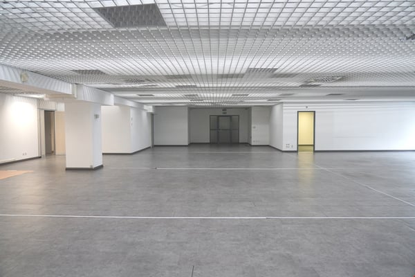 Manno - Büro-Labor zu vermieten - 810 m² 4