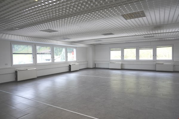 Manno - Büro-Labor zu vermieten - 810 m² 2