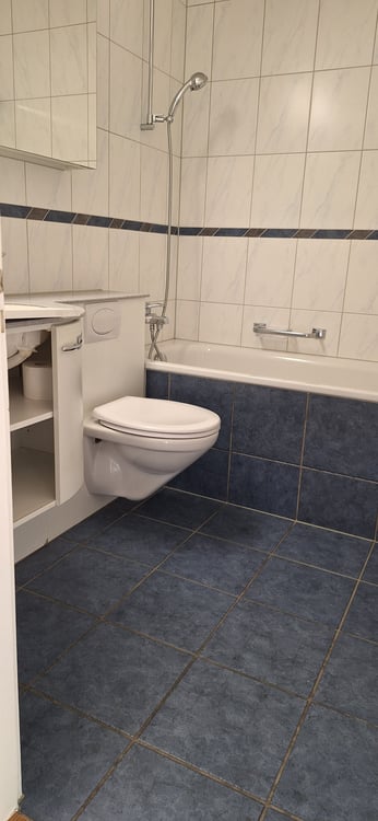 Befristete 3-Zimmerwohnung im Grünen 4