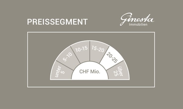 Luxus direkt am See in Stäfa mit Aussenpool und privatem Bade-Steg 2