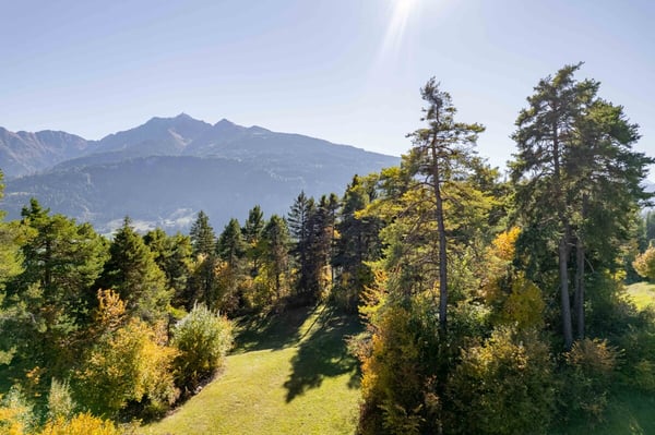 Sonniges Bauland an ruhiger Waldrandlage 3