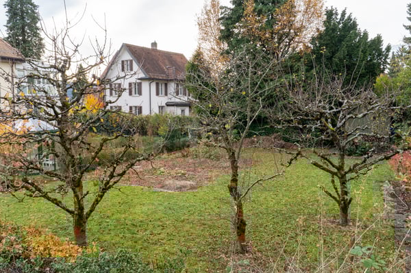 Wallisellen: Baulandparzelle nahe Zentrum und Schulen 4
