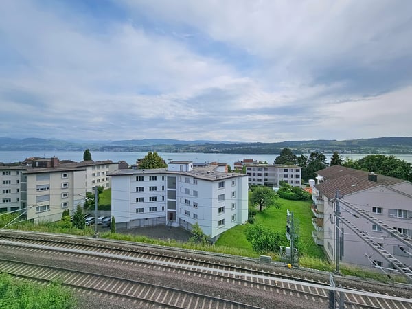 4-Zimmer-Wohnung mit traumhafter Seesicht in Meilen 1
