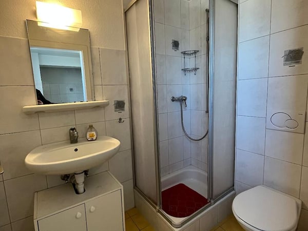 Geräumige 7.5-Zimmer-Wohnung im Dachgeschoss 13