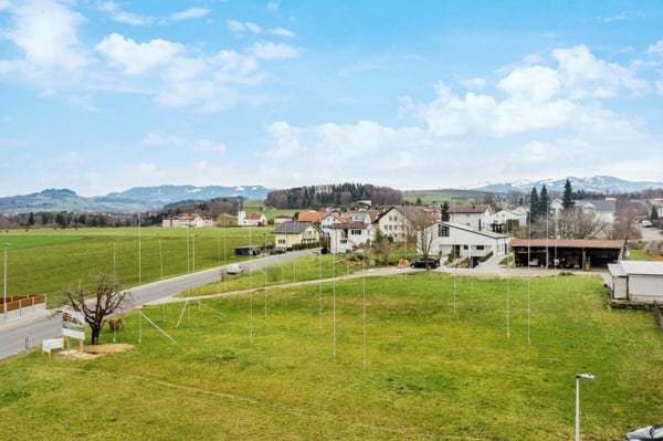 Leben im Obstgarten 6