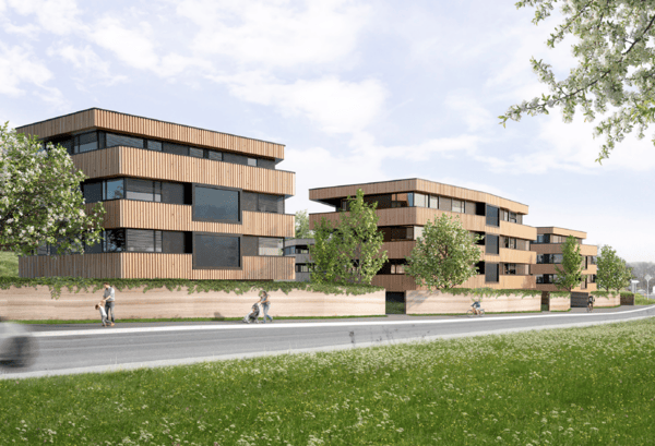 Neubauprojekt im Sensebezirk 2