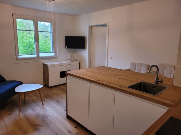 Moderne 2.5-Zimmer-Wohnung mit Bergblick in Hinwil 1