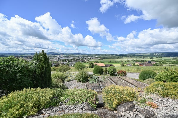 Sonnenverwöhnte Terrassenwohnung zwischen Rebbergen und Weitblick 6