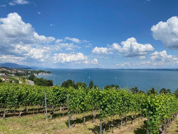 Vorschaubild der Immobilie