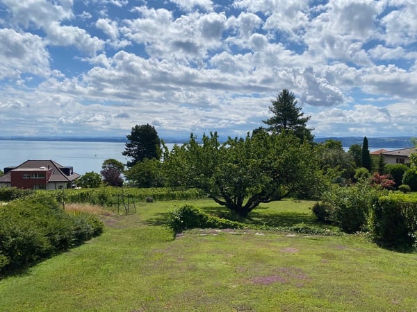 Très beau terrain pour investisseur 4