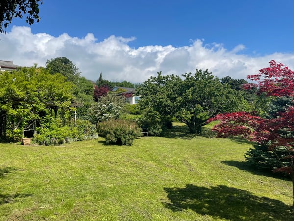 Très beau terrain pour investisseur 3