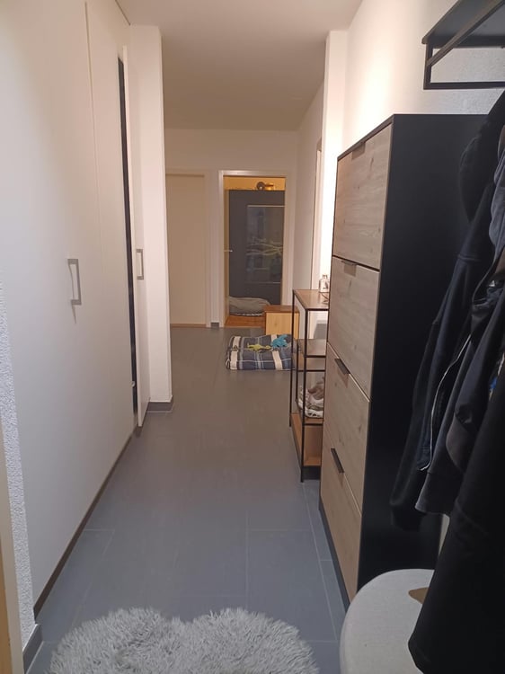 Charmant appartement de 3.5 pièces à Fribourg 5