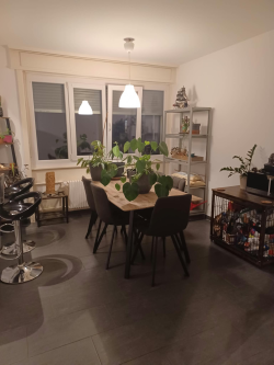 Charmant appartement de 3.5 pièces à Fribourg 1